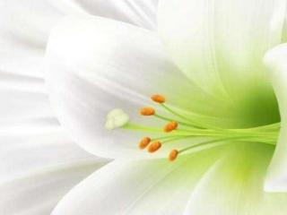 测试对方心里有没有你（测TA心里是否有你）