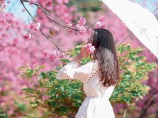 一个男人一旦提出离婚，男人比女人更害怕离婚