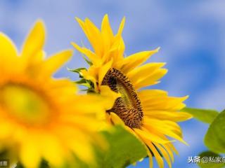 爱情没什么道理，爱情是世界上最没道理的东西