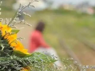 判断女人是否真想离婚，如何判断女人是否真想离婚