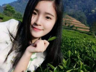 茶叶女什么意思，茶叶女为何盯上中年男人