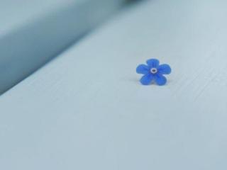 致自己晚安的说说（送给自己晚安的说说短句）