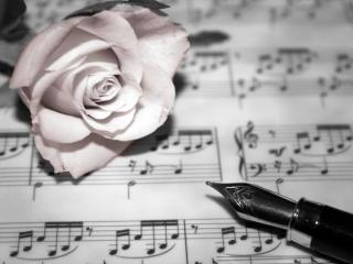 伤感的歌词（这些伤感又唯美的歌词）