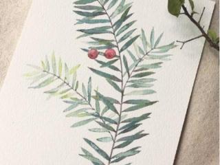 唯美安静个性签名（简短小清新的个性签名）