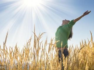有关秋天的句子（关于秋天的唯美句子）