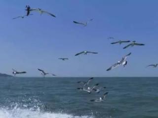 测命运免费测试（测你这一生的命运如何）