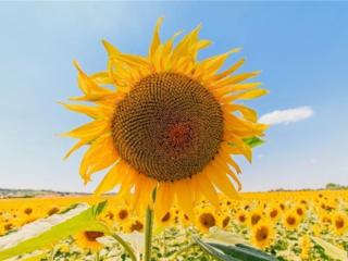 最简短最心酸的一句话，有时候一句话就会心酸