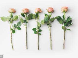 白羊座和摩羯座（说说摩羯座和白羊座的组合）