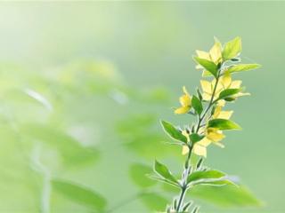 男生喜欢一个人的迹象，一定是真心喜欢你了