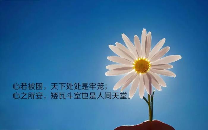 激励自己的图片最新朋友圈励志图片带字