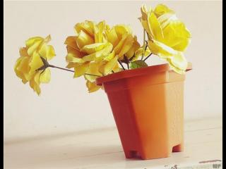 暖心语录（温柔又暖心的经典语录）