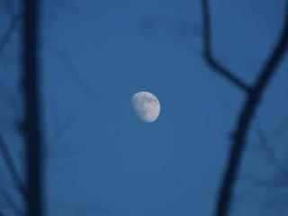 关于晚安的说说（适合睡前发的晚安说说）