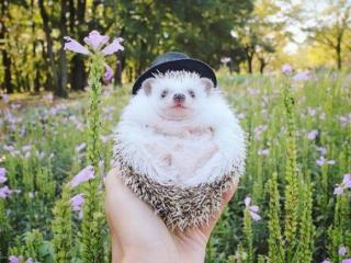 生活感悟经典句子微信（朋友圈感悟生活的经典说说）