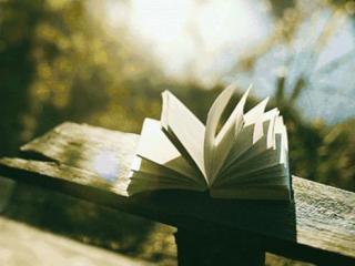 迷茫的图片（当你迷茫无助的时候）