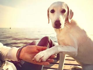 不可能复合的表现，女生不可能复合有哪些表现