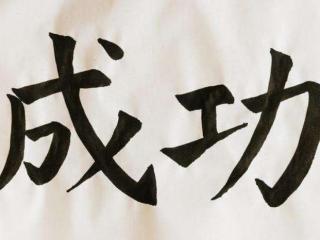 成功人士的经验（500名成功者经验告诉你）