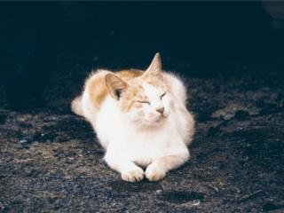 个性短语（适合做个性签名的精致短语）