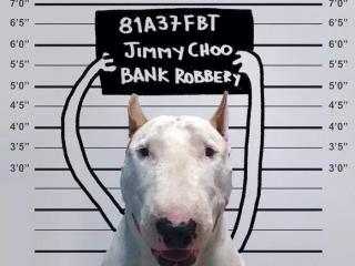 幽默搞笑个性签名（最逗比最搞笑的签名句子）