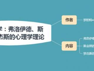 弗洛伊德三大理论（对心理学影响最大的三大分支）