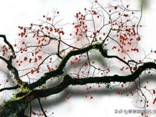 讽刺人的话（诗词｜史上最狠的十首讽刺诗）