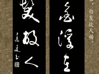 对仗与对偶的区别（这些五言句中有对偶句、对仗句）