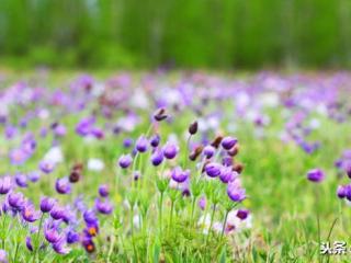 自己的生日祝福语（致自己的生日祝福语）