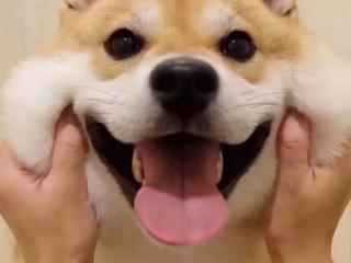 哄女生开心的笑话，哄女孩子开心的小笑话