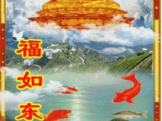 相爱不离不弃句子（恩爱夫妻最美的风景是不离不弃）