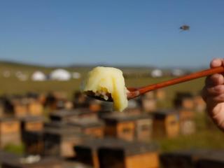 蜂王浆的禁忌（蜂王浆不能和什么同食）