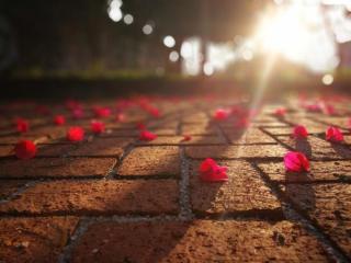 佛教经典爱情故事（佛教经典爱情故事---千年等待）