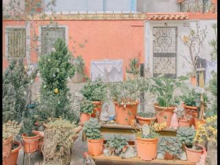 父母的爱句子（父母生日给表白的煽情的句子）