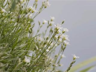 关于情感的句子（适合发朋友圈的情感句子）