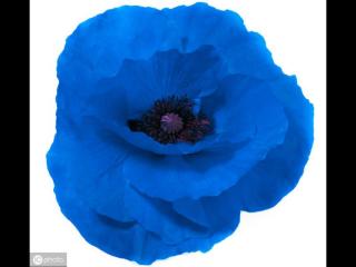 测试你的婚姻（测出你今生注定有怎样的婚姻）