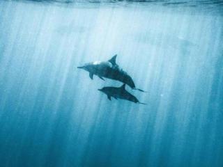 心里委屈压抑憋屈图片（心里委屈难受的一句话语录）