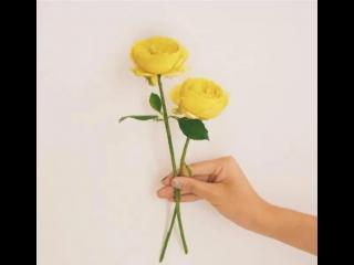 关心人的话（天冷了关心朋友的话）