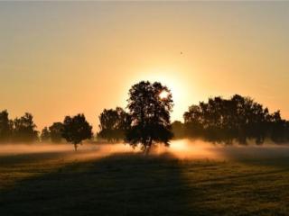 发朋友圈的晚安句子（发朋友圈的晚安心情句子）