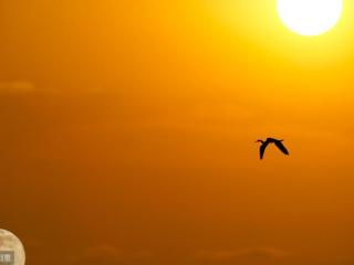 对爱人说的暖心话（对爱人说的一段暖心话）