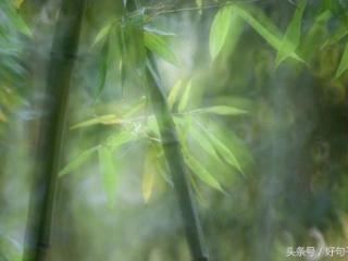 坚强的个性签名（坚强到让人心疼的语录）