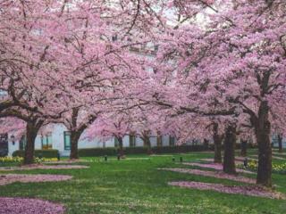 心情好（适合心情好时的短句）