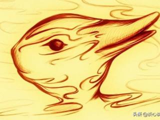 左右脑年龄测试（测试你左右脑的年龄分别有多大）