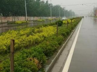 空间日志图片（那些年QQ空间写的图文日志）