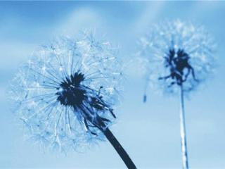 朋友圈励志的经典句子（适合发朋友圈的励志经典语录）