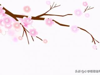 赞美桃花的优美句子（描写桃花的好词、好句、好段）