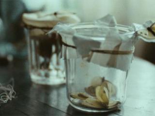 一个女教师的自述（一位31岁女教师的自述）