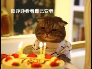 生日感言简短些真实点（致自己生日感悟的句子）