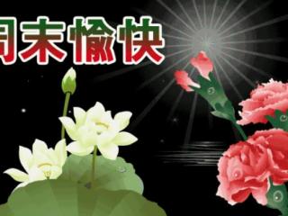 周末愉快的句子（周末早安问候语祝福短信）