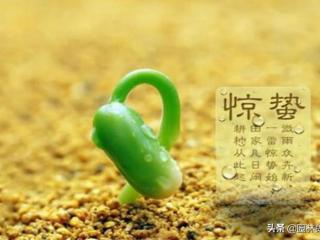 惊蛰是什么意思（惊蛰对于农业、林业）