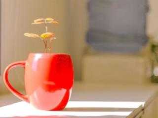 睡前一句话暖心话（睡前一句话暖心句子）