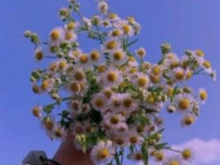 土味情话大全撩女朋友，说给对象听的腻歪土味情话大全