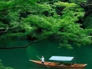 中年情感驿站日志（【情感驿站】爱到极致不相见）